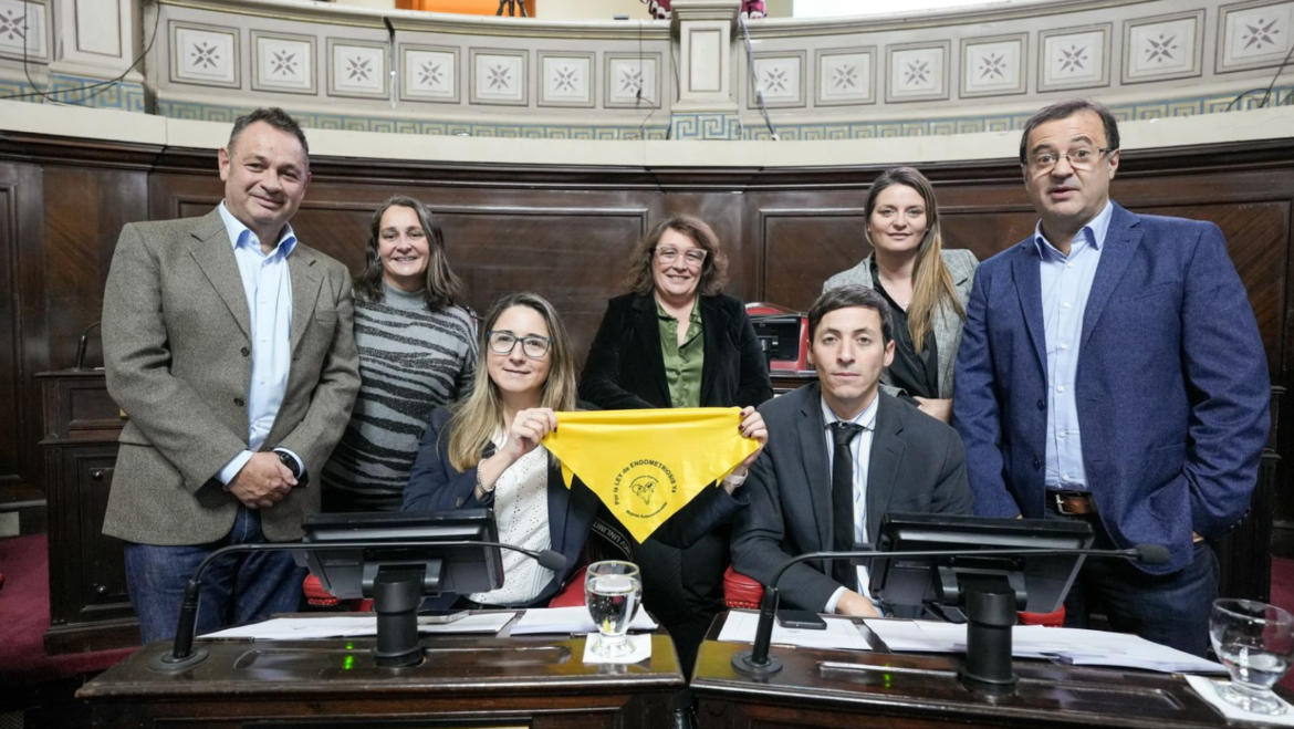 Media sanción para el proyecto clave que declara el 14 de marzo como el Día de la Endometriosis