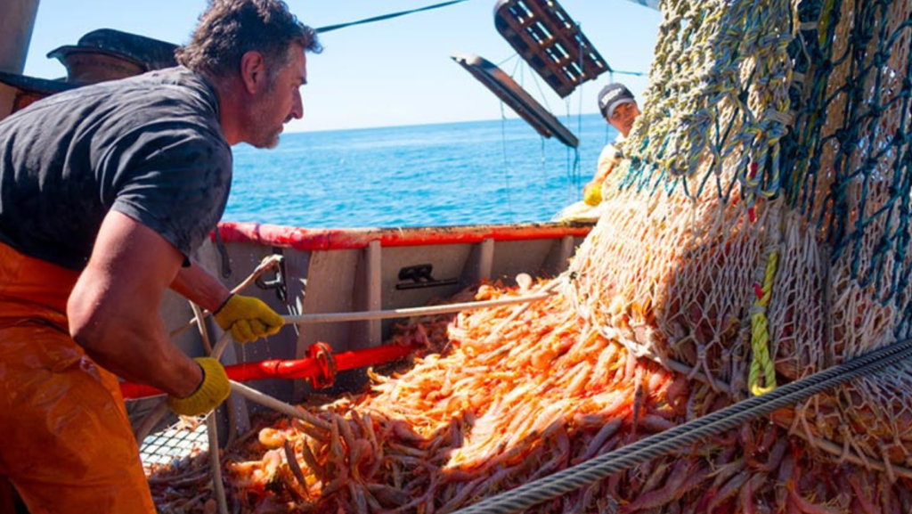 Industria Pesquera, el impacto del RIGI y un Gobierno que preocupa