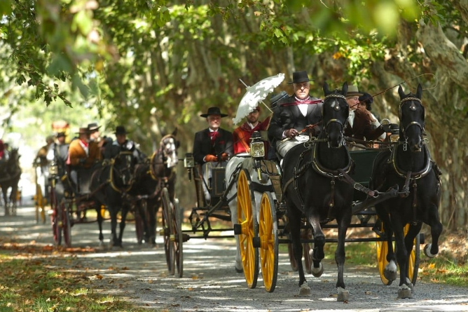 La gran fiesta del caballo y el carruaje tiene una amplia actividad