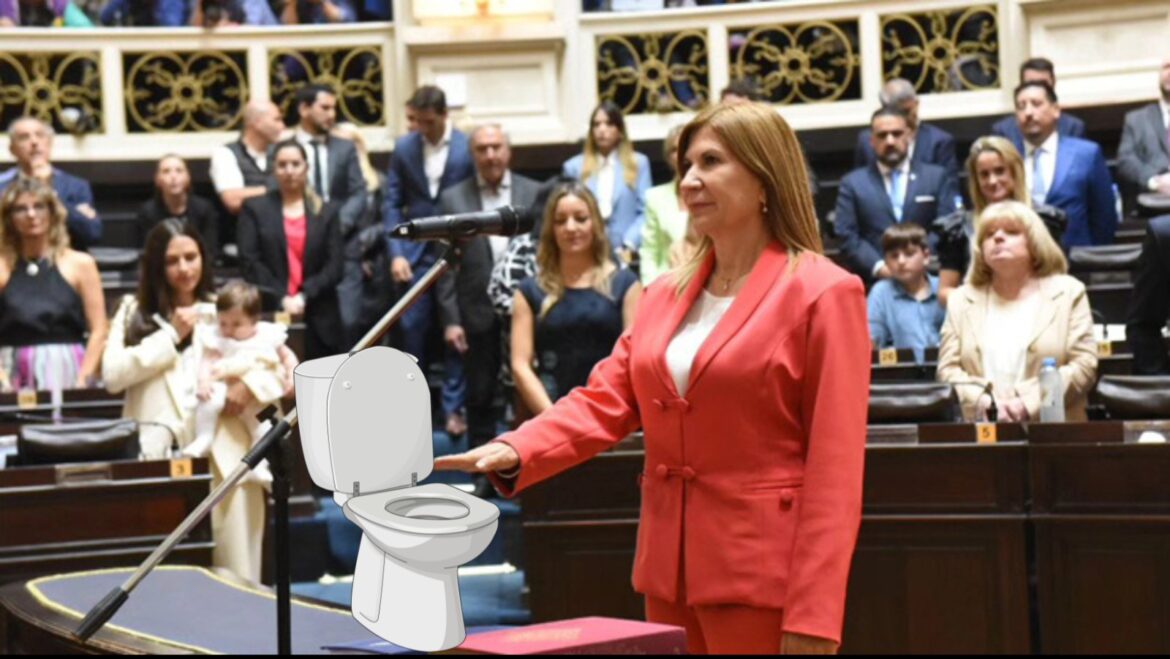 Una diputada bonaerense de Unión por la Patria propuso declarar al inodoro como “un lugar para la paz”