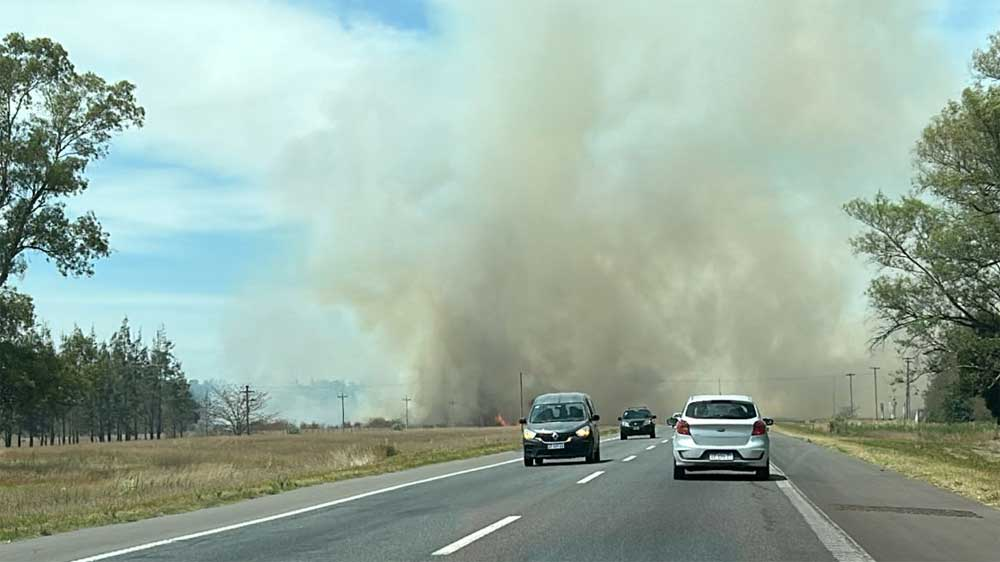 Incendio en Uribelarrea: cayeron postes de luz y dejaron autos atrapados