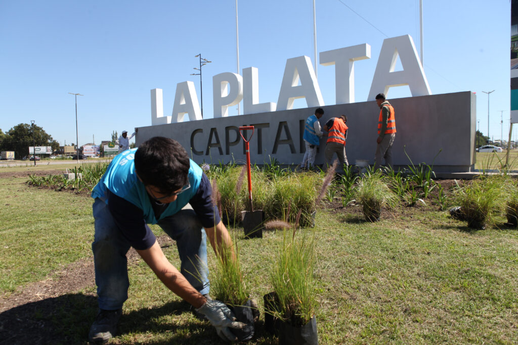 Renuevan la forestación de la rambla de avenida 44 con un nuevo proyecto paisajístico